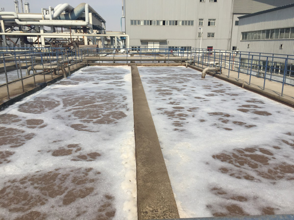 除磷劑是什么藥劑？水里的總磷來自哪里？